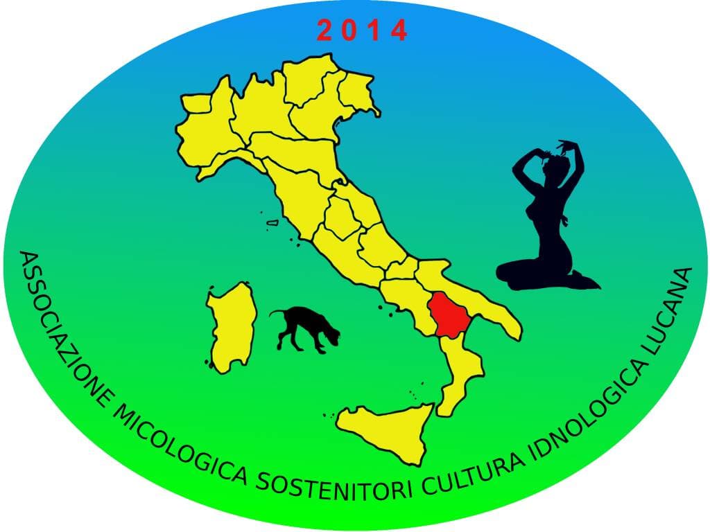 Tartufaia Basilicata, il “corto circuito” della trasparenza