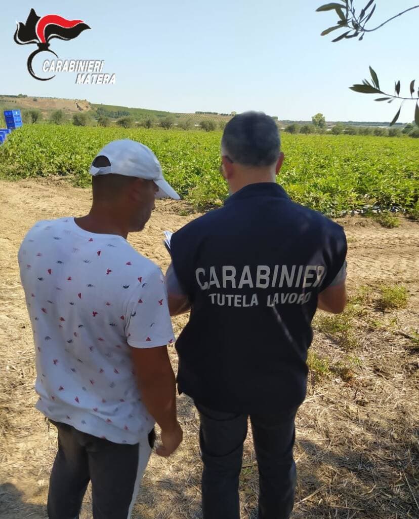 Operazione anti caporalato nel Metapontino