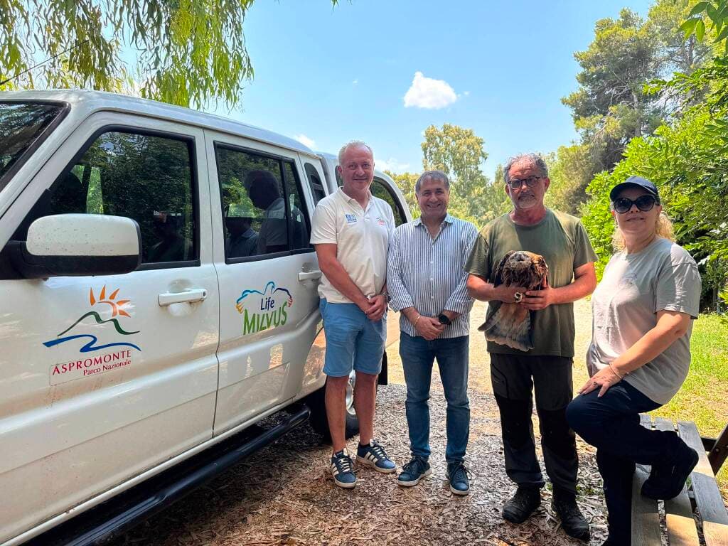 Biodiversità, Parco della Murgia Materana e Parco dell’Aspromonte insieme per la tutela del nibbio reale