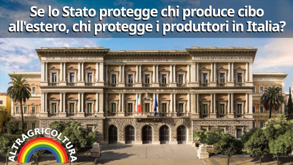 Agricoltura, Piano Mattei: quattro domande a chi ci governa