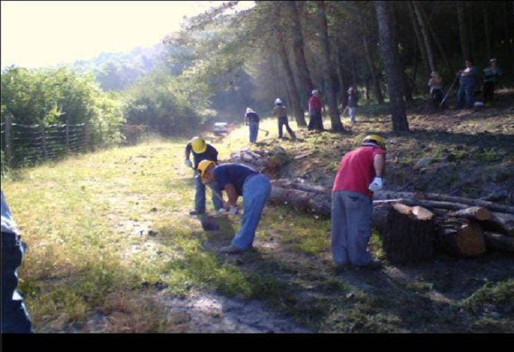 Comparto idraulico-forestale lucano: impiegati denunciano l’immobilismo dei sindacati