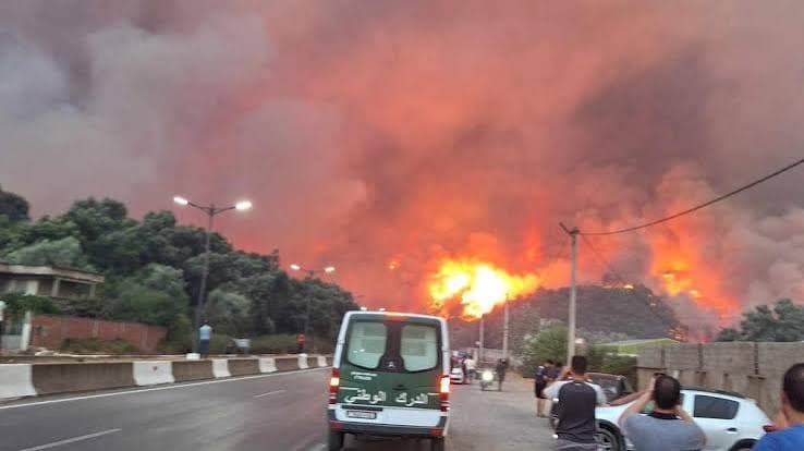 Algeria, incendi distruttivi: almeno 69 vittime e molti feriti